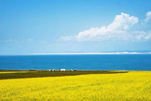 十几年上调一次学费何以引发舆论热议“JDB电子游戏官网”(图1) JDB电子游戏官网