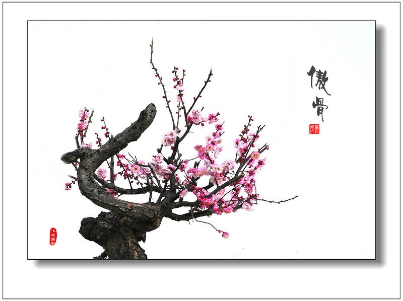 辽宁新增3例新冠肺炎治愈病例 累计出院122例-JDB电子游戏官网(图2) JDB电子游戏官网