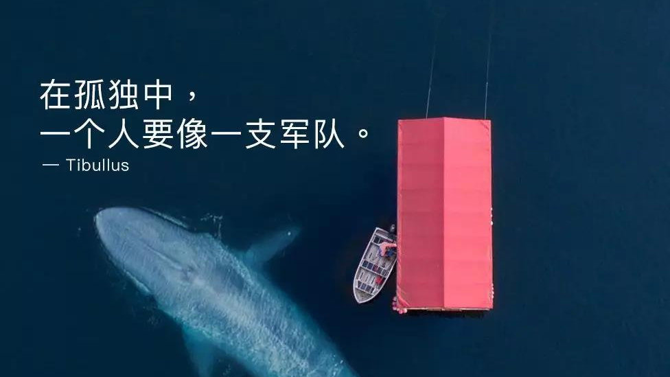 JDB电子试玩网页版