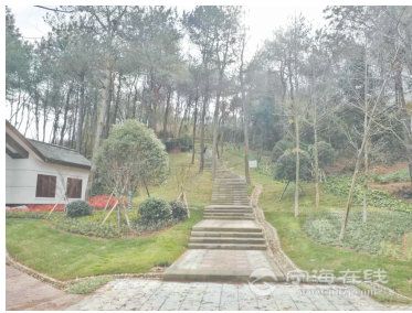 JDB电子-2020年旅游损害如何赔偿?旅游损害赔偿方式有哪些?(图1) JDB电子试玩网页版