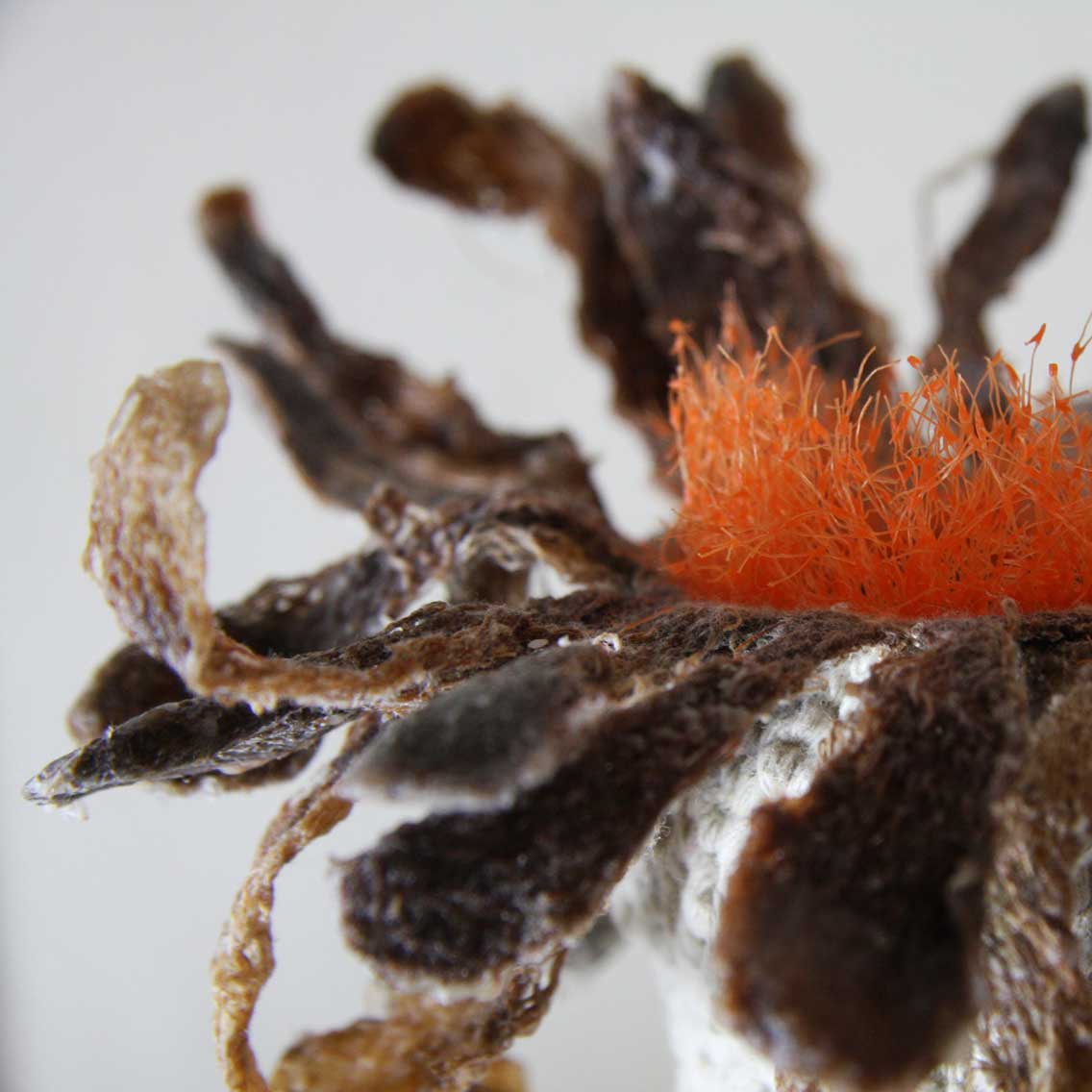 JDB电子|用“三保”守护百姓“菜篮子”(图1) JDB电子游戏官网