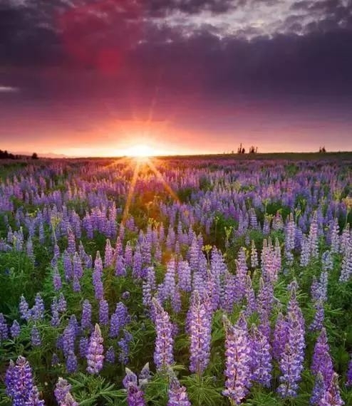 JDB电子试玩网页版