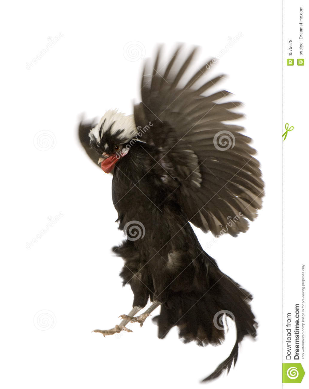 让“老漂族”老有所养老有所医|JDB电子游戏官网(图3) JDB电子试玩网页版