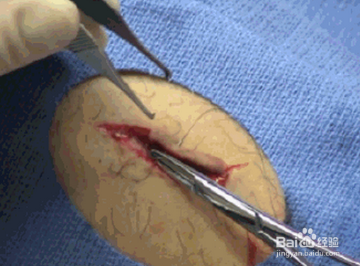 JDB电子试玩网页版