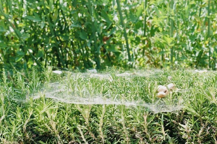 JDB电子游戏官网