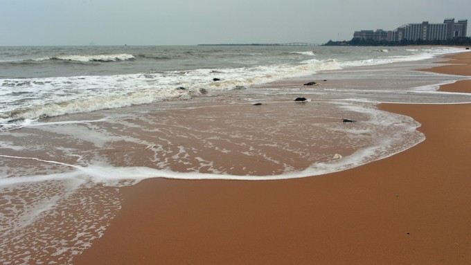 JDB电子试玩网页版