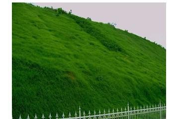 JDB电子试玩网页版