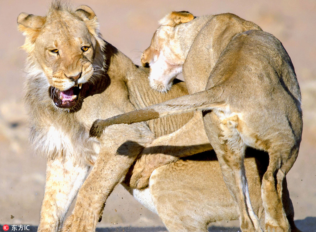 易县司法医学判定中心走进企业举行宣讲运动【JDB电子】(图1) JDB电子