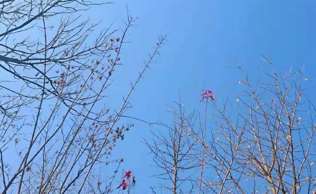 JDB电子试玩网页版