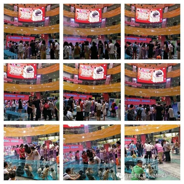 JDB电子游戏官网