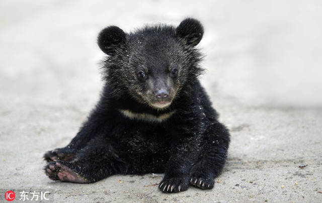 JDB电子游戏官网