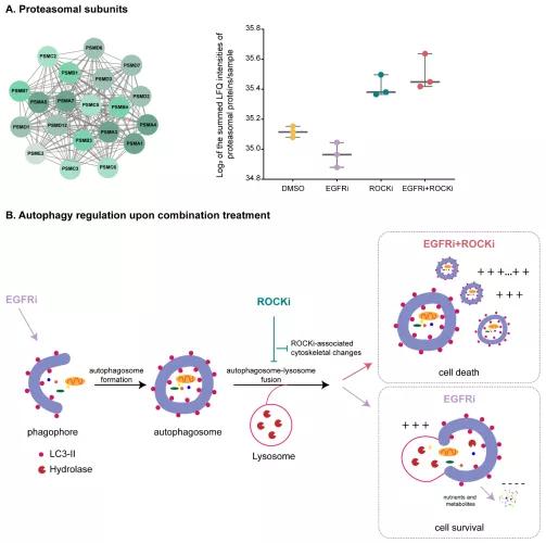 JDB电子游戏官网