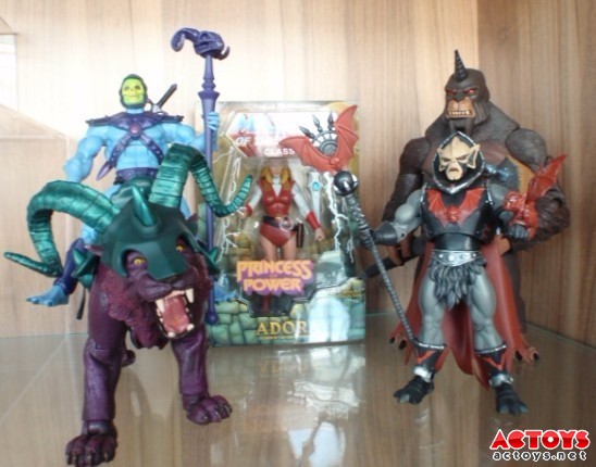 【JDB电子】野生动物当宠物合法吗?(图1) JDB电子