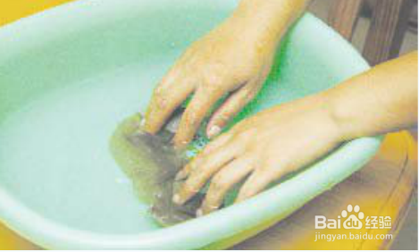 【JDB电子】野生动物当宠物合法吗?(图2) JDB电子试玩网页版