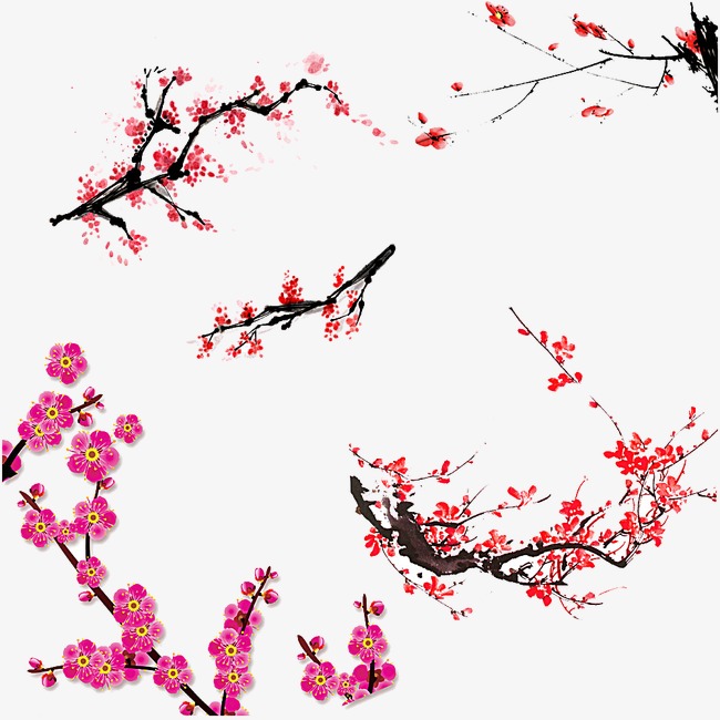 慈善法起草者评罗尔事件:个人募捐属违法行为-JDB电子游戏官网(图1) JDB电子游戏官网